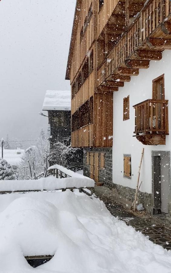Studio Ebi Vacation - Alleghe - Monte Civetta 외부 사진