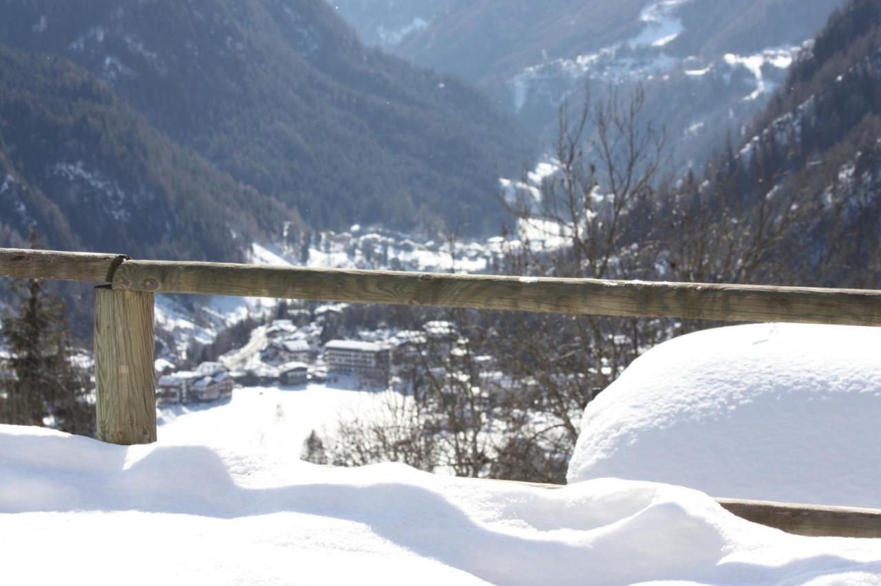 Studio Ebi Vacation - Alleghe - Monte Civetta 외부 사진