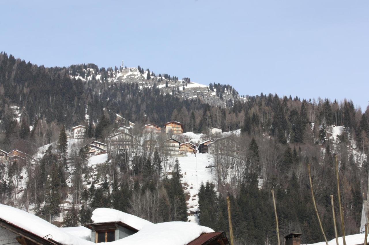 Studio Ebi Vacation - Alleghe - Monte Civetta 외부 사진