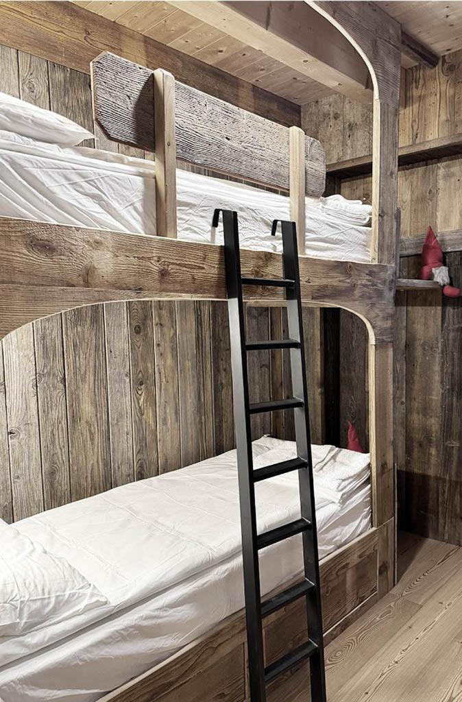 Studio Ebi Vacation - Alleghe - Monte Civetta 외부 사진